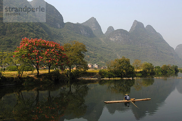 Chinesischer Fischer mit Strohhut auf einem Bambusfloß fischt bei Yangshuo im Yulong Fluss vor blühenden Bäumen und Karstfelsen  Yangshuo  Guilin  Guanxi  China  Asien