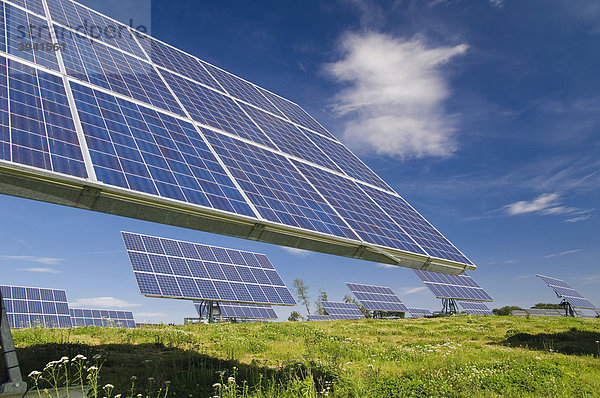 Photovoltaik Außenanlage  Solar-Module auf dem Feld  Sonnenkraftwerk  Mallersdorf  Bayern  Deutschland
