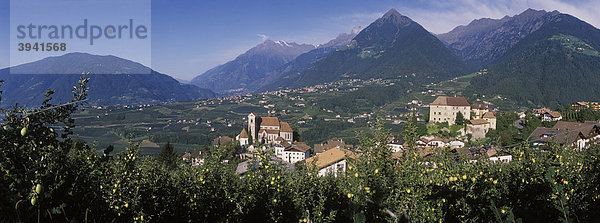 Apfelplantage  Bergdorf Schenna bei Meran  Trentino  Südtirol  Italien  Europa