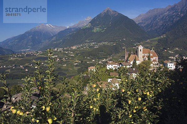 Bergdorf  Apfelplantage  Schenna bei Meran  Trentino  Südtirol  Italien  Europa