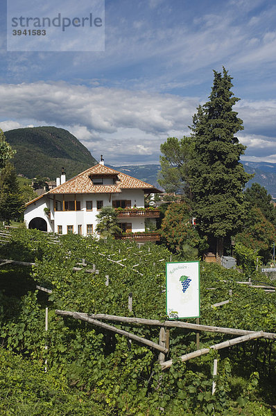 Mitterdorf  Weinberg  Weingut  Hotel  Kaltern  Trentino  Südtirol  Italien  Europa