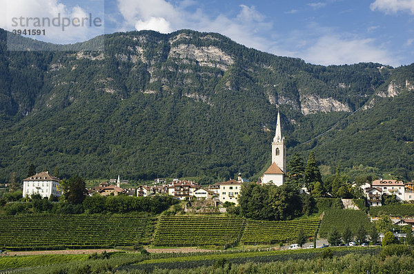 Weinberg  Bergdorf  Kaltern  Trentino  Südtirol  Italien  Europa