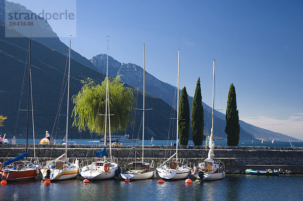 Segelboote im Yachthafen  Torbole  Gardasee  Lago di Garda  Trentino  Italien  Europa