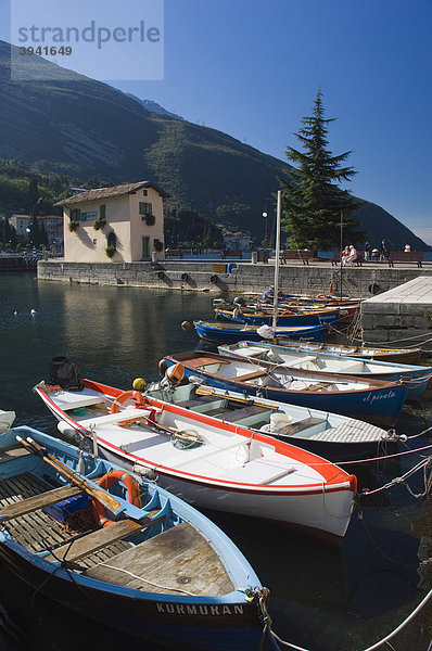 Fischerboote  Torbole  Gardasee  Lago di Garda  Trentino  Italien  Europa