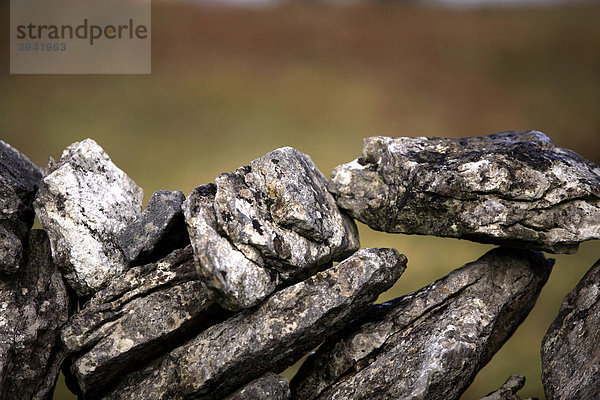 Steinerne Begrenzungsmauer  Detail  The Burren  Irland  Irische Republik  Europa