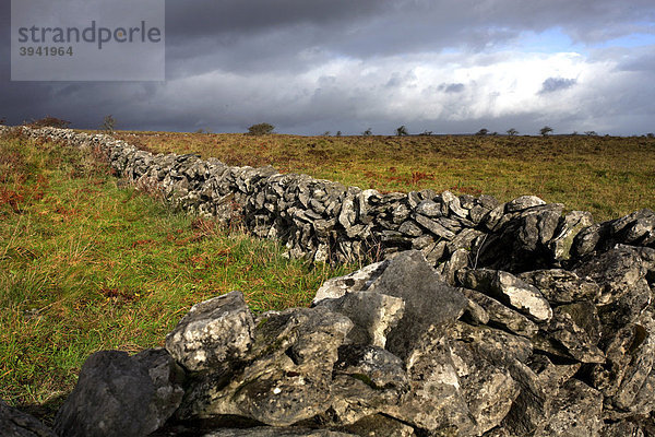 Steinerne Begrenzungsmauer  The Burren  Irland  Irische Republik  Europa