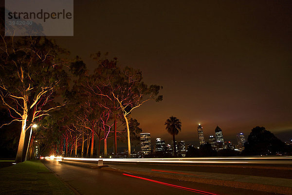 Beleuchtete Eukalyptusbäume im Kings Park bei Nacht mit Skyline von Perth  Western Australia  Australien