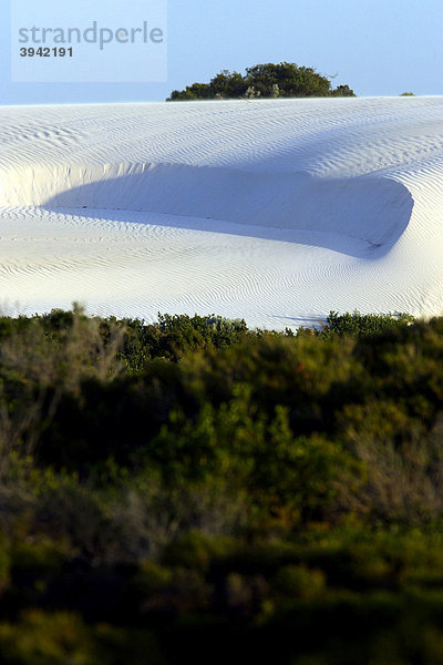 Weiße Sanddünen an der Küste  Western Australia  Australien