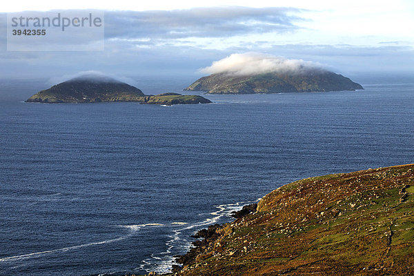 Die Deenish und Scariff Inseln  Ring of Kerry  County Kerry  Irland  Europa
