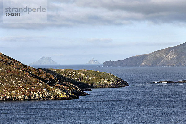 Great und Little Skellig Inseln  Ring of Kerry  County Kerry  Irland  Europa