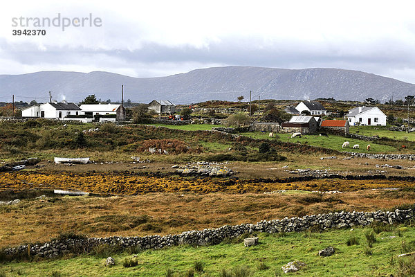 Cottages  Connemara  County Galway  Irland  Europa