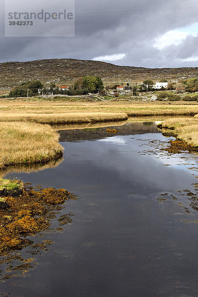 Cottages  Connemara  County Galway  Irland  Europa