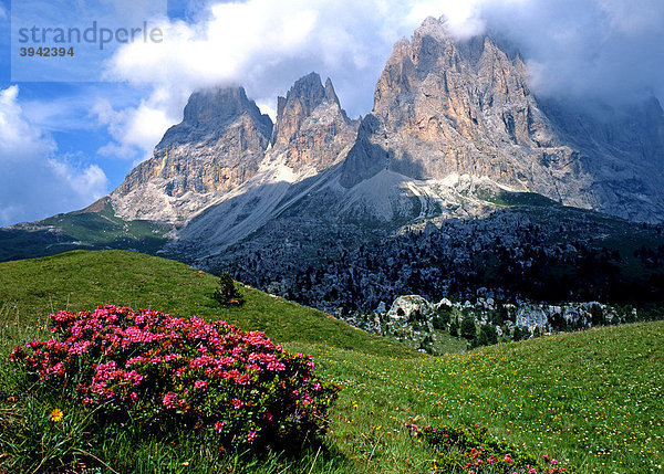 Langkofel Gruppe  Dolomiten  Südtirol  Italien  Europa