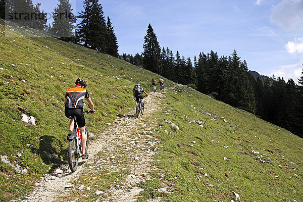 Mountainbiker auf Höhenweg an der Kampenwand  Chiemgau  Oberbayern  Deutschland  Europa