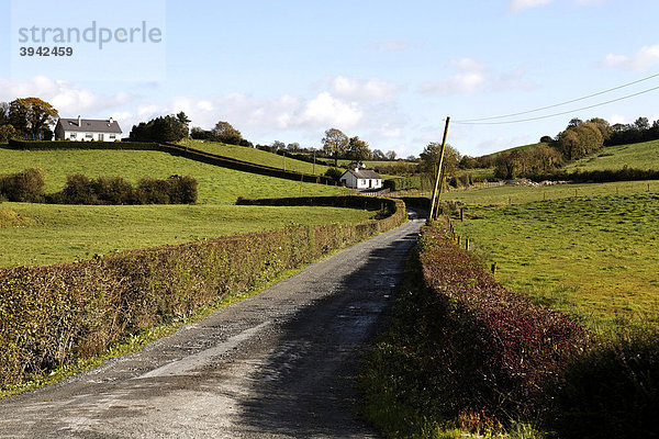 Straße führt Cottages  County Armagh  Nordirland  Europa