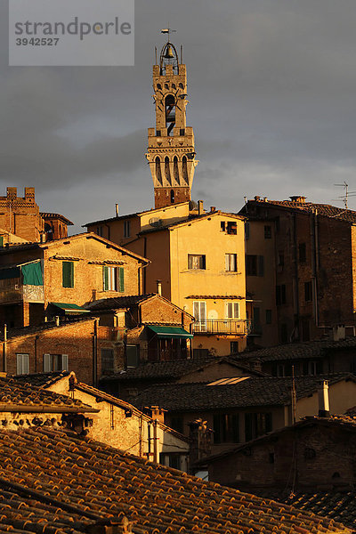 Torre di Mangia Turm und Wohnarchitektur  Siena  Toskana  Italien  Europa