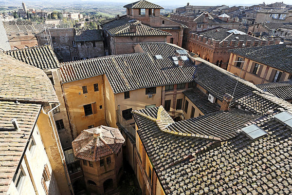 Blick auf die Dächer von Siena  Toskana  Italien  Europa