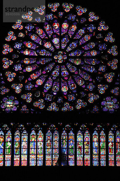 Fensterrose der Kathedrale Notre Dame de Paris  Frankreich  Europa