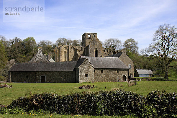 Abbaye de Hambye  Manche  Basse-Normandie  Normandie  Frankreich  Europa