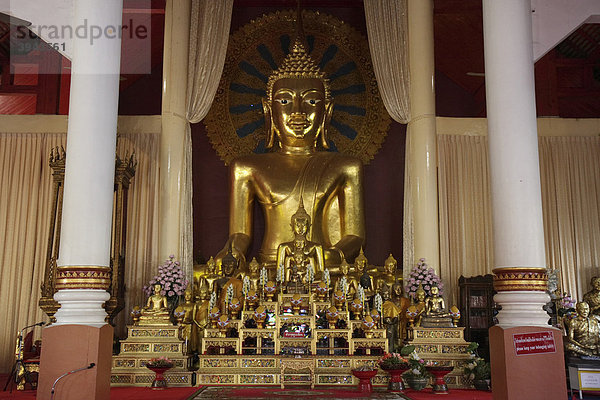 Buddhastatuen verschiedener Größe  Tempel Wat Phra Sing  Chiang Mai  Nordthailand  Thailand  Asien