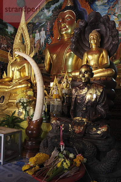 Goldene Buddhastatuen und Mönchsstatue mit Stoßzahn eines Elefanten und Opfergaben  Tempelanlage Wat Phra That Doi Suthep  Chiang Mai  Nordthailand  Thailand  Asien