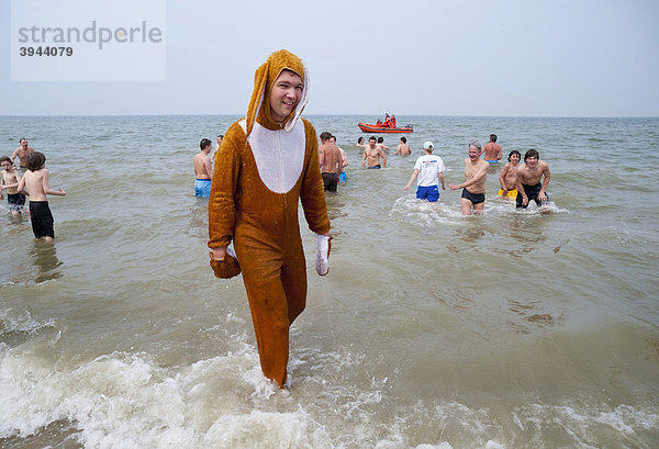 Ein als Osterhase kostümierter junger Mann steht beim traditionellen Paasduik Oster-Tauchen am Strand des Urlaubsorts Renesse in der Nordsee  Schouwen-Duiveland  Zeeland  Niederlande  Europa