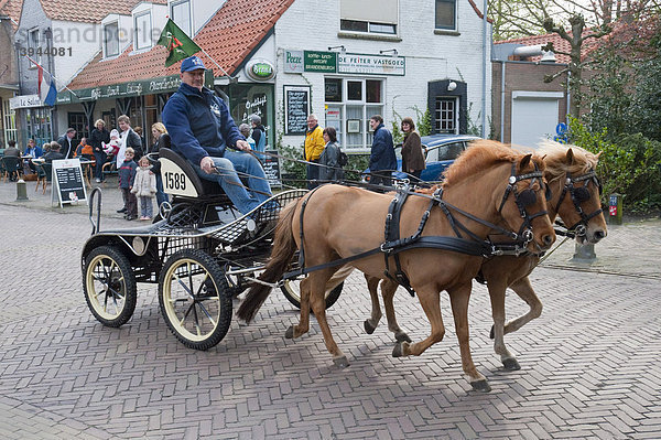 Ein Pferdewagen fährt durch den holländischen Ferienort Burgh-Haamstede  Schouwen-Duiveland  Zeeland  Niederlande  Europa