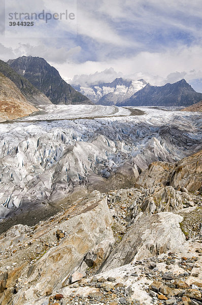 Aletschgletscher  dahinter Großes Wannenhorn und Kleines Wannenhorn  Berner Hochalpen  Wallis  Schweiz  Europa