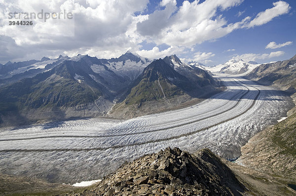 Aletschgletscher  dahinter Schinhorn  Gr. Fusshorn  Geißhorn  Aletschhorn  Jungfrau  Mönch und Eiger  Berner Hochalpen  Wallis  Schweiz  Europa