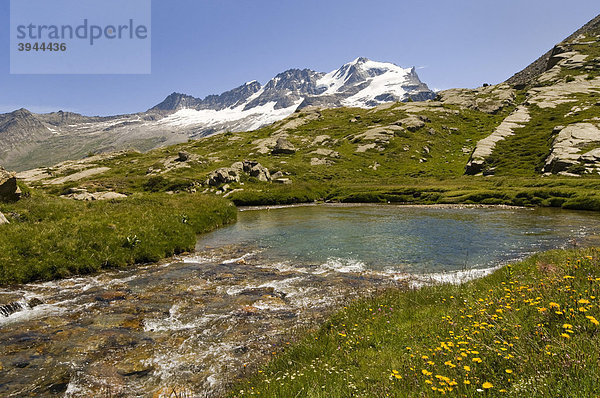 Torrente Dora del Nivolet  dahinter Gran Paradiso 4061m  Nationalpark Gran Paradiso  Valle d'Aosta  Italien  Europa