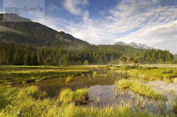 Riedener See  Rieden  Lechtal  Außerfern  Tirol  Österreich  Europa