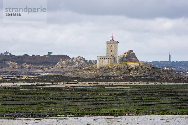 Austernbänke in der Bucht von Morlaix mit dem Leuchtturm auf der Ile Noire  Bretagne  Finistere  Frankreich  Europa