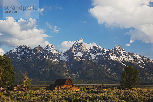 Alte Holzscheune und Grand Teton Range Gebirgszug  Antelope Wohnungen Flats  Grand Teton National Park  Wyoming  USA