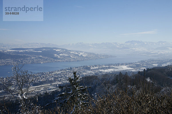 Blick vom Uetliberg auf Zürich im Schnee  Schweiz  Europa