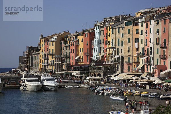 Portovenere im Cinque Terre  Ligurien  Italien  Europa