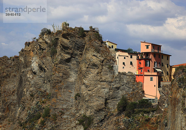 Blick auf Manarola vom Wanderweg Via dell' Amore  Cinque Terre  Ligurien  Italien  Europa