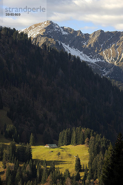 Alm auf Wiesenfläche mit verschneitem Berggipfel  Hindelang  Allgäu  Bayern  Deutschland  Europa