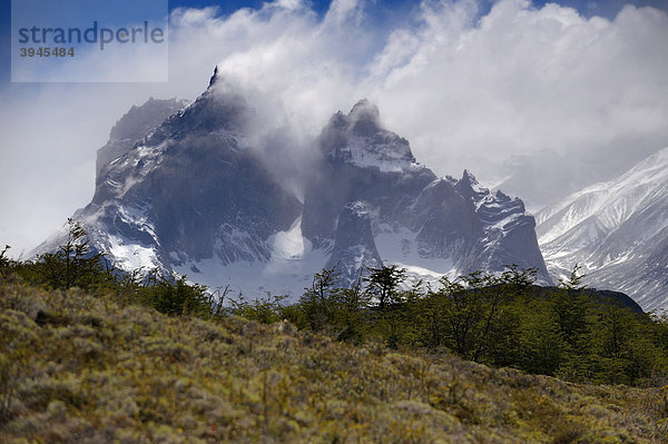 Windumtoster Hauptgipfel der Torres del Paine mit Bergwiese  Patagonien  Chile  Südamerika