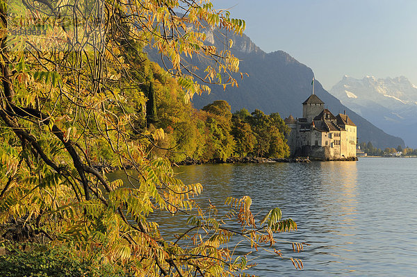 Schloss Chillon am Genfersee und Dents du Midi  Veytaux  Montreux  Schweiz  Europa