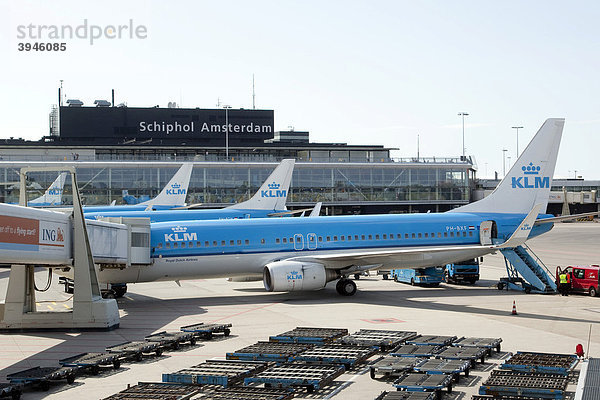 Flugzeuge der KLM auf dem Rollfeld am Flughafen Schiphol in Amsterdam  Niederlande  Europa