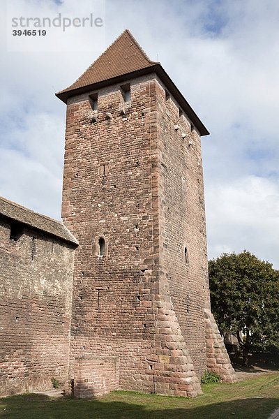 Mittelalterliche Stadtmauer mit Turm  Worms  Rheinland-Pfalz  Deutschland  Europa