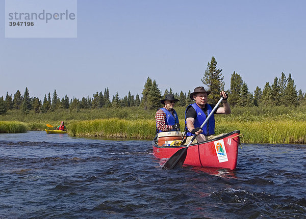 Zwei Männer paddeln im Kanu  Kanufahren  Caribou Lakes  oberer Liard River  Yukon Territory  Kanada