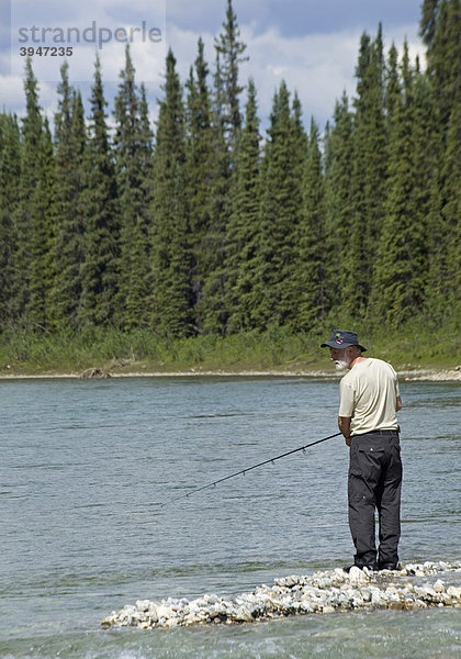 Mann angelt im oberen Liard River Fluss  steht auf Landspitze  Kiesbank  Yukon Territory  Kanada