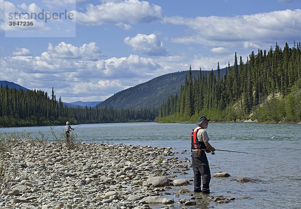 Mann angelt im oberen Liard River Fluss  Kiesbank  hinten Berge  Yukon Territory  Kanada