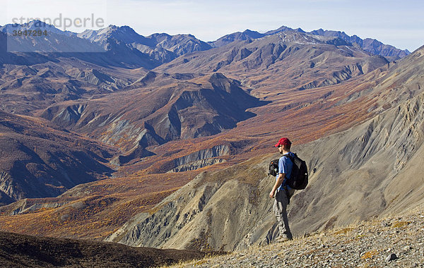 Wanderer  Blick vom Sheep Mountain auf Red Castle Ridge  St. Elias Mountains  Kluane Nationalpark und Reservat  Yukon Territory  Canada
