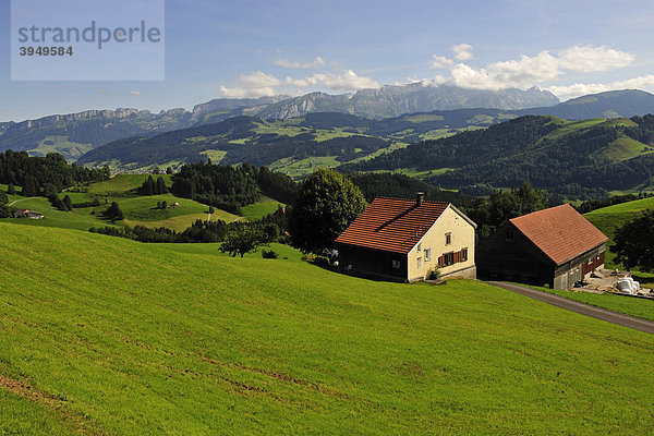 Typische Hügellandschaft im Kanton Appenzell mit Bauernhäusern  hinten das Alpsteingebirge  Kanton Appenzell  Schweiz  Europa