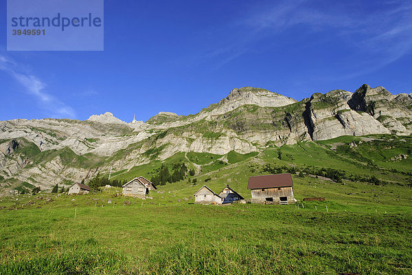 Schwägalp mit Säntis  dem höchsten Berg im Alpsteingebirge  Kanton Appenzell  Schweiz  Europa