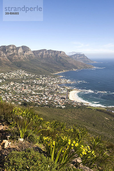 Blick vom Lion's Head auf Camp's Bay und die Seven Apostle Bergkette  Kapstadt  Südafrika  Afrika