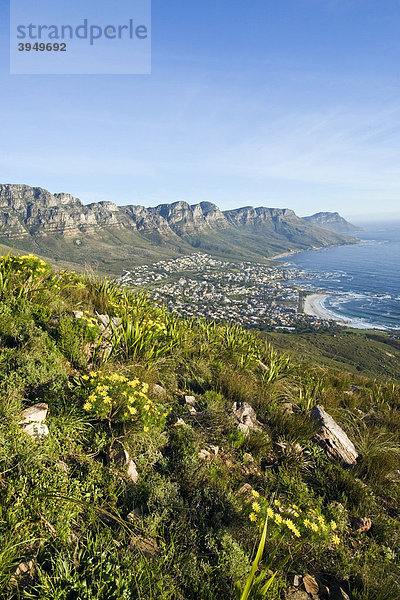 Blick vom Lion's Head auf Camp's Bay und die Seven Apostle Bergkette  Kapstadt  Südafrika  Afrika