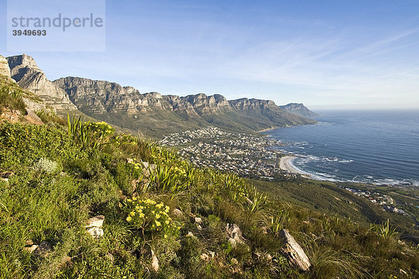 Blick vom Lion's Head auf Camp's Bay und die Seven Apostle Bergkette  Kapstadt  Südafrika  Afrika